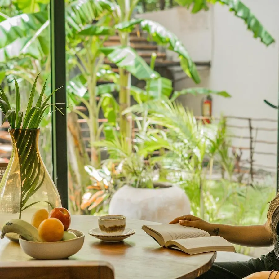Xperience Tulum Hotel